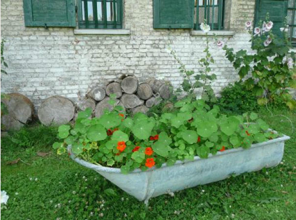 Bed and Breakfast Manoir De Bois En Ardres Экстерьер фото