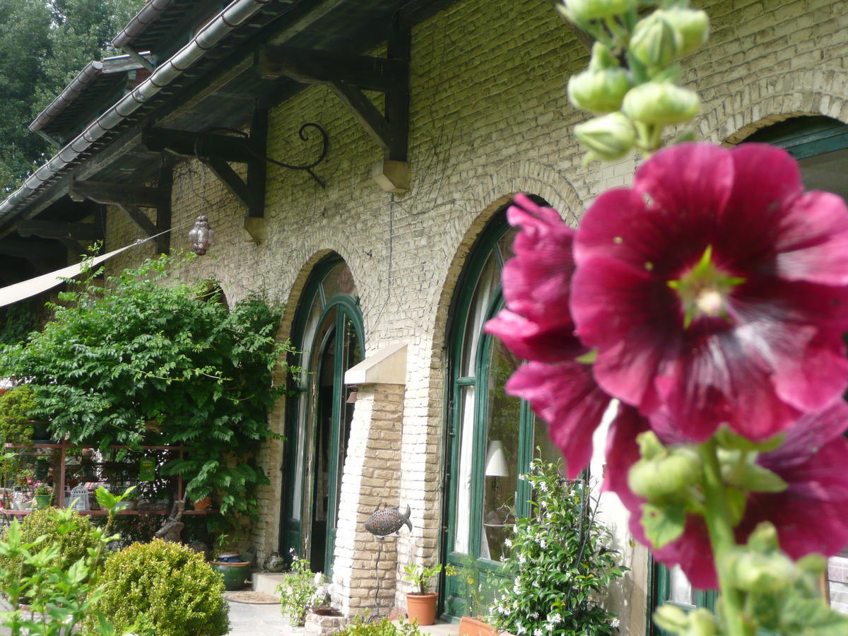 Bed and Breakfast Manoir De Bois En Ardres Экстерьер фото